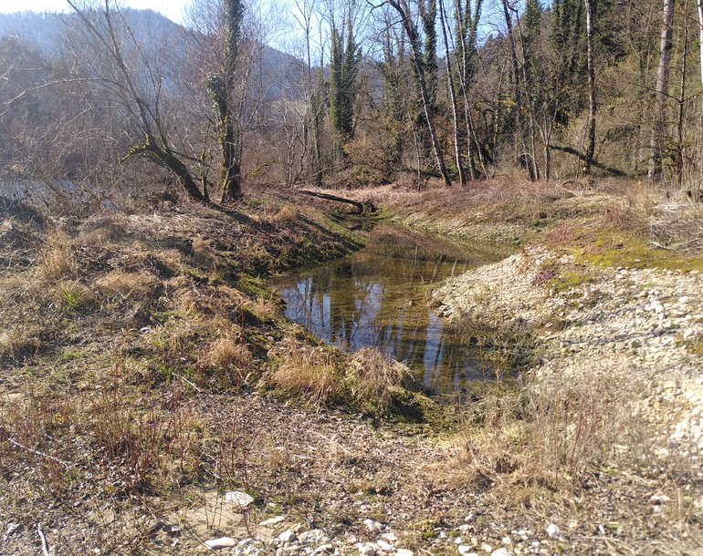 Amélioration des berges du Doubs dans le cadre du plan de gestion des zones alluviales