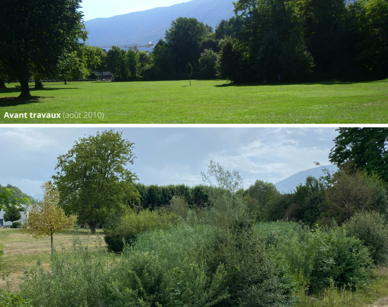 Restauration écologique du Tillet à Aix-Les-Bains (F)