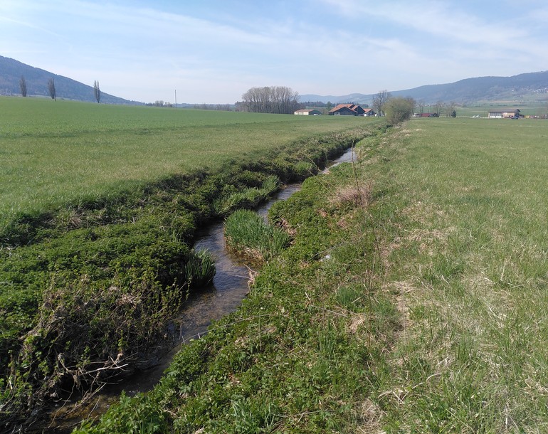 Plan d'entretien du Seyon et de la Sorge au Val de Ruz (NE)