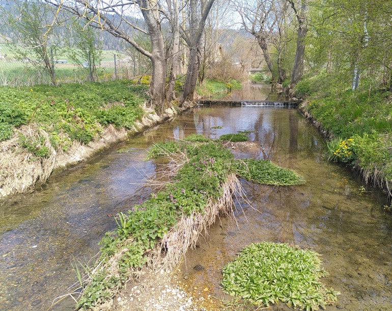 Analyse du réseau hydrographique de la commune de Val-de-Ruz et plan d’entretien des cours d’eau du Seyon et de la Sorge (NE)