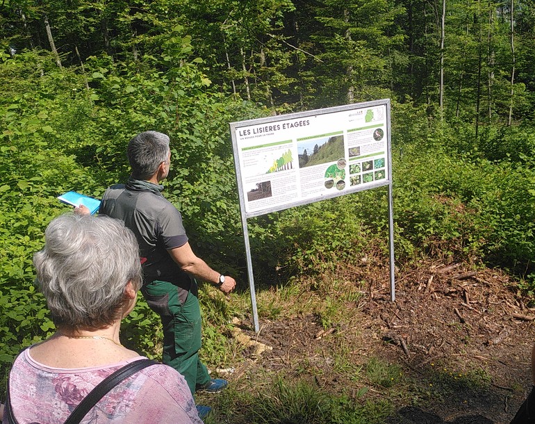 Elaboration du sentier didactique du Montchaibeux à Courrendlin (JU)