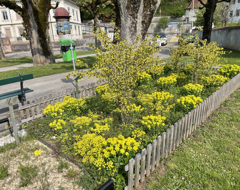 Plan directeur de la nature en ville de Porrentruy (JU)