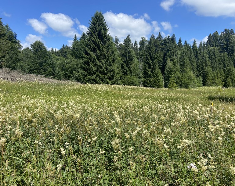 Conception d'évolution du paysage/Révision de plans de zones Val Terbi