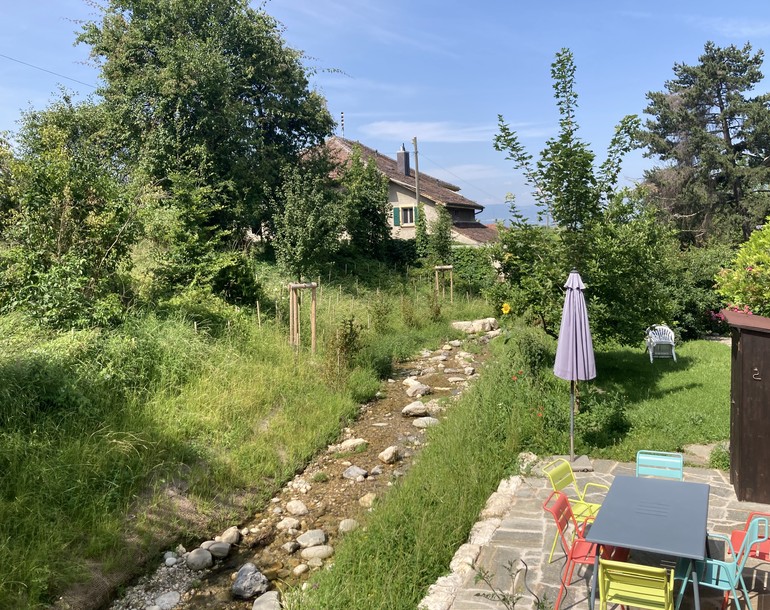 Remise à ciel ouvert du Ruisseau de Mivellaz en milieu bâti / Corcelles-sur-Chavornay (VD)