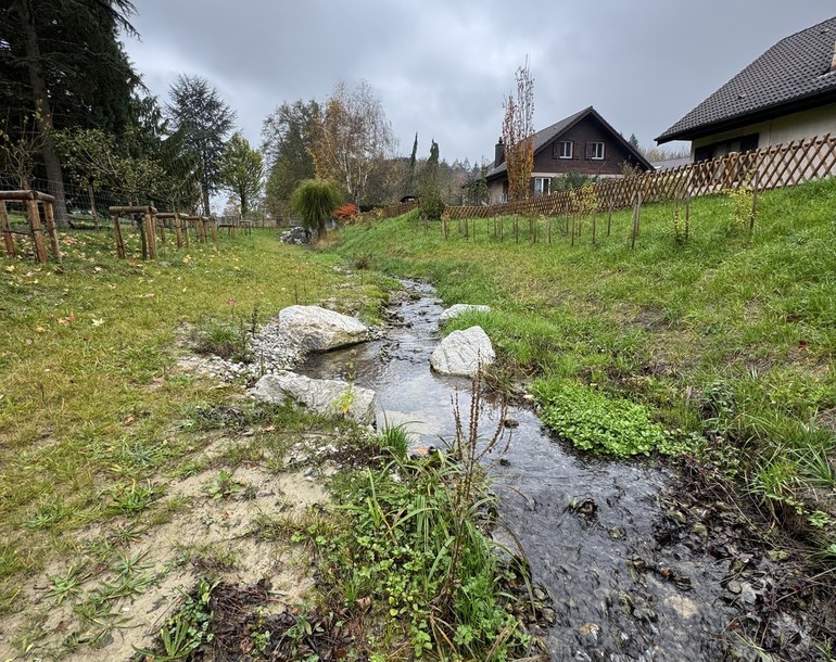 Revitalisation du Ruisseau de Corsalettes à Grolley (FR)