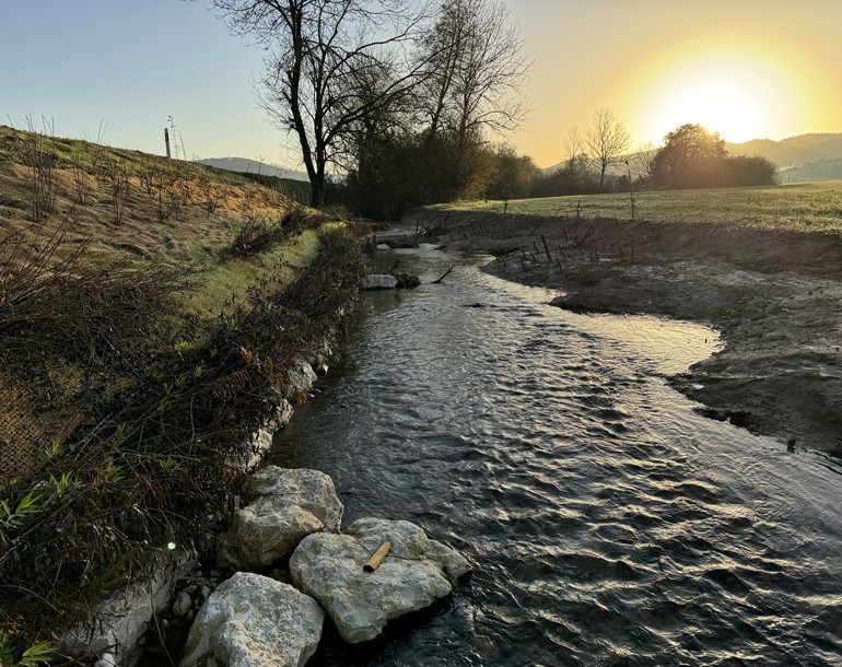 Stabilisation de la berge droite et déplacement du lit de l’Allaine au bord de la route cantonale à Miécourt (commune de la Baroche) (JU)