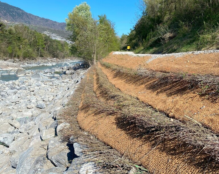 Expertise et appui pour le développement et la mise en oeuvre d'une mesure urgente de stabilisation de la berge droite du Rhône à Lavey-les-Bains (VD)