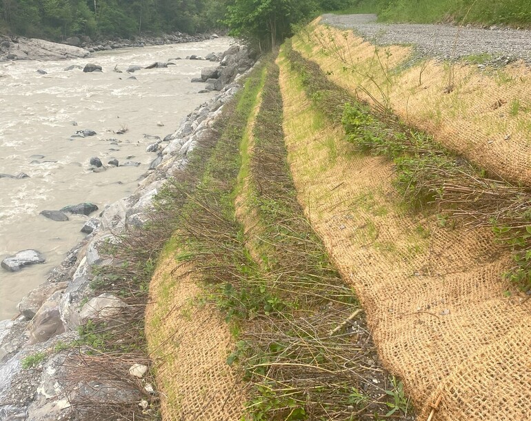 Expertise et appui pour le développement et la mise en œuvre d’une mesure urgente de stabilisation de la berge droite du Rhône à Lavey-les-Bains (VD)