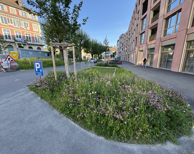 Végétalisation de la nouvelle place des Bennelats à Porrentruy (JU)