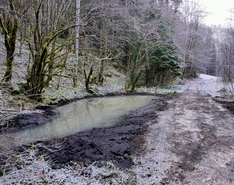 Suivi de la mise en œuvre du plan d’entretien des cours d’eau et plans d’eau de la commune de Haute-Sorne (JU)