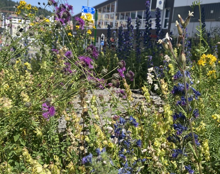 Elaboration d’un plan de gestion et d’entretien des espaces verts de La Chaux-de-Fonds (NE)