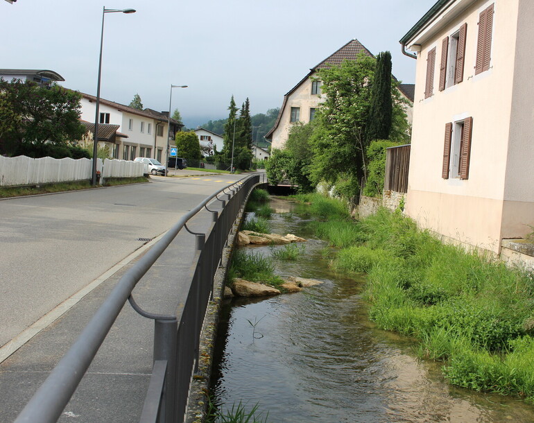 Protection contre les crues - création d'épis dans le Bacavoine à Porrentruy (JU)