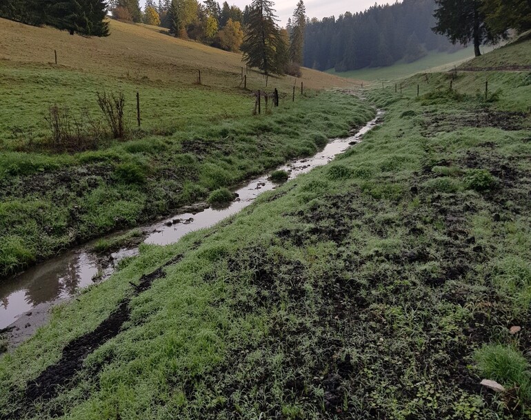 Revitalisation du Miéry à Lajoux (JU)