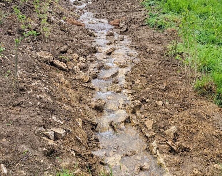 remise à ciel ouvert du ruisseau de Pré-Bouvier à Montmelon (commune de Clos du Doubs) (JU)
