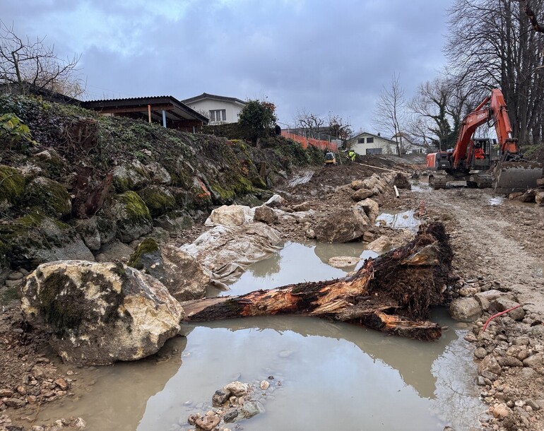 Protection contre les crues et revitalisation de la Birse à Courrendlin (JU)