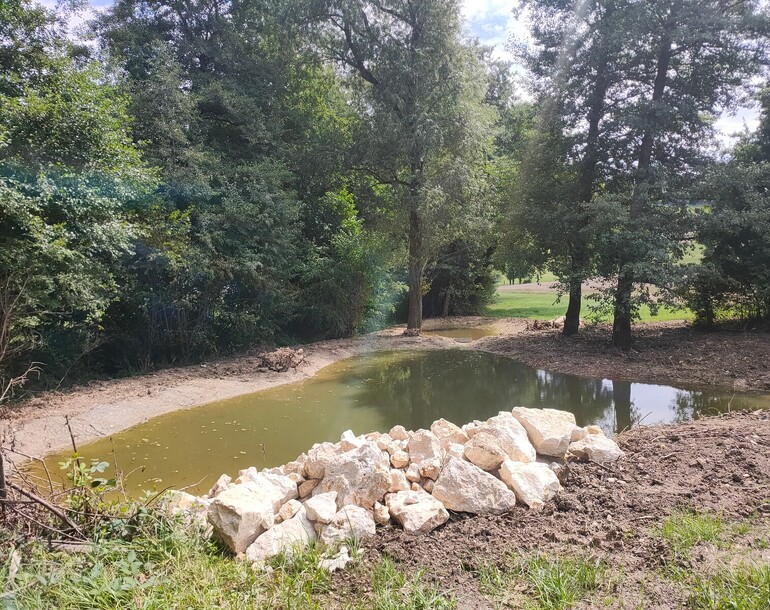 Création de plans d’eau forestiers à Develier et Delémont (JU)