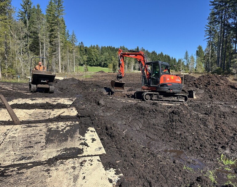 Revitalisation du haut-marais d’importance nationale de la Gruère à Saignelégier (JU)