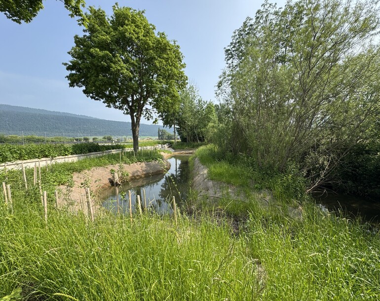 Création de zones humides - mares