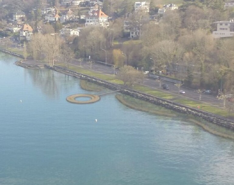 Renaturation des rives lacustres et des accès à l'eau des quais de Cologny (GE)