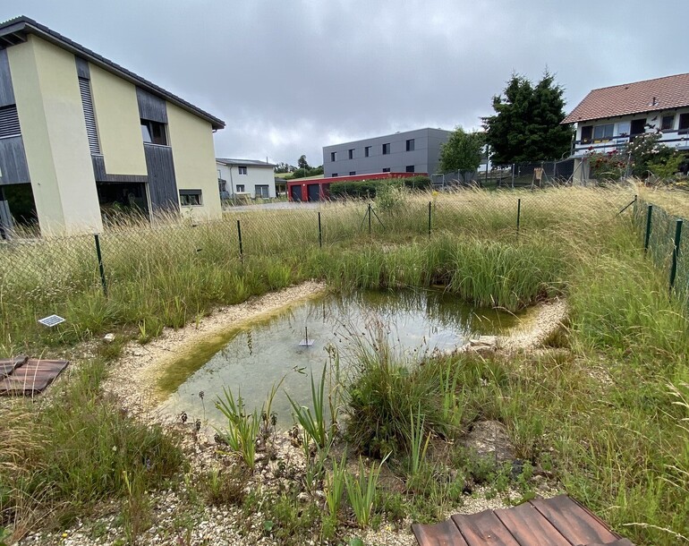 Aménagement d'un ancien puits à incendie en faveur du crapaud accoucheur à Pleigne (JU)