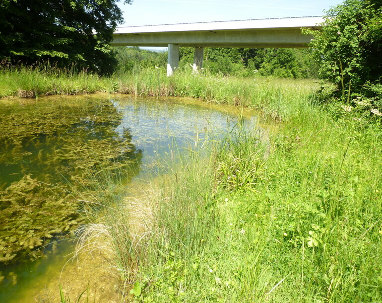 Aménagement de la compensation écologique de l'autoroute A16 des Angles à Boncourt (JU)