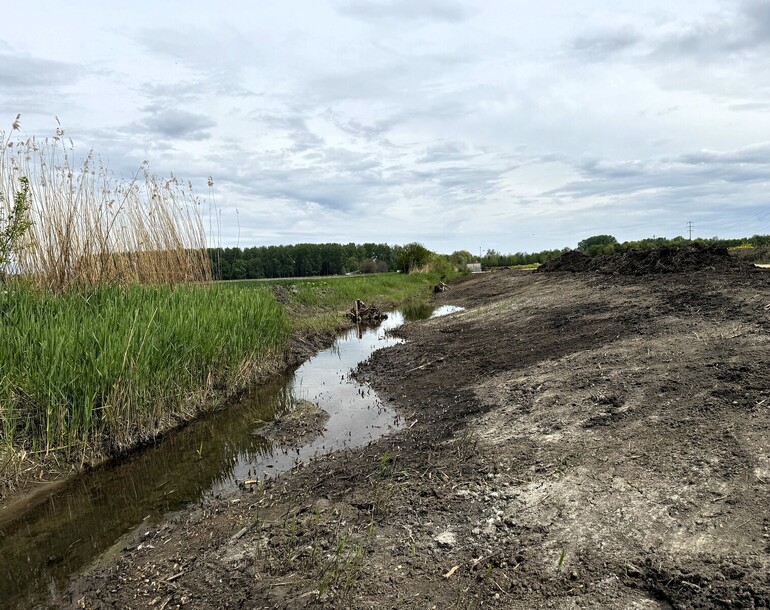 Revitalisation du Canal du Bey à Avenches (VD)