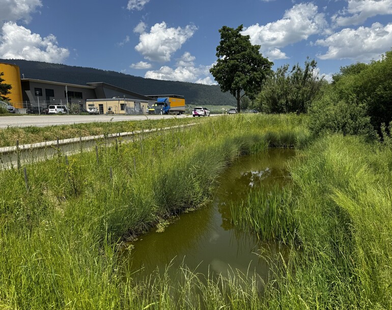 Création de trois biotopes attenants au Seyon à Engollon (commune de Val-de-Ruz) (NE)