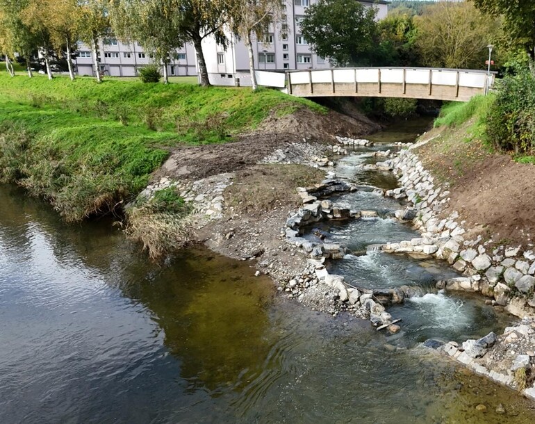 Réaménagement de la confluence de la Lembaz avec la Broye à Granges-près-Marnand (commune de Valbroye) (VD)