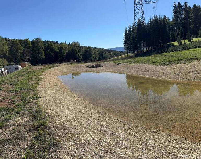 Création et réfection de plans d’eau en faveur du crapaud calamite à Boécourt (JU)