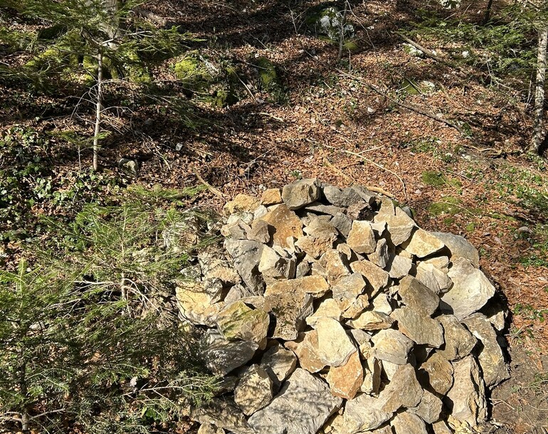 Mise en œuvre des mesures du plan de gestion du site IBN Les Charbonnières à Mettembert (JU)