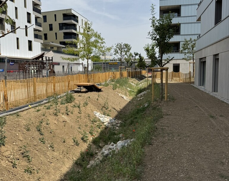 Expertise biodiversité de la labélisation SEED du quartier durable Gruvatiez à Orbe (VD)