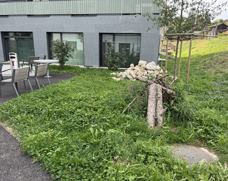 Evaluation de l'entretien réalisé dans un quartier SEED Moulins Rive droite à Orbe (VD)